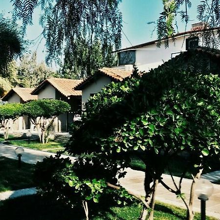 Palm Motel Beach Club Urla Zewnętrze zdjęcie