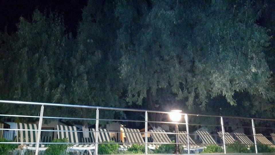 Palm Motel Beach Club Urla Zewnętrze zdjęcie
