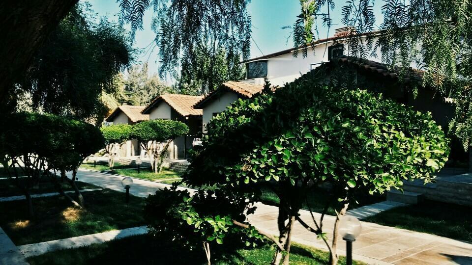 Palm Motel Beach Club Urla Zewnętrze zdjęcie